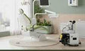 DENTAL FULL KIT - WALDENT